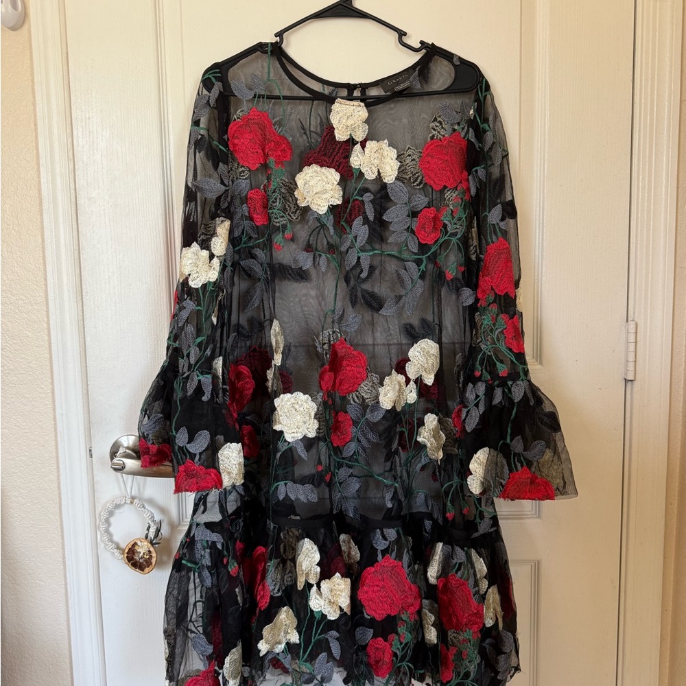 Floral Embroidered Sheer Dress